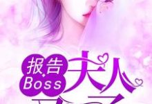 报告Boss：夫人又怀了沈千歌阎默寒汤少龙，报告Boss：夫人又怀了在线无弹窗阅读-瑞奇文学