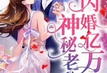 闪婚亿万神秘老公免费阅读，闪婚亿万神秘老公章节目录-瑞奇文学