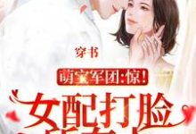 小说《穿书：女配打脸所有人》在线章节阅读-瑞奇文学