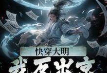 快穿大明：我反出京师对抗皇帝小说的无弹窗阅读体验，寻找免费阅读网站-瑞奇文学