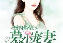 慕少宠妻甜蜜蜜小说的免费阅读版本在哪里可以找到？-瑞奇文学