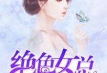 完结版《绝色女总裁的全能保镖》在线免费阅读-瑞奇文学