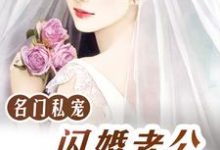 唐一一皇甫尚安御西泽为主角的小说名门私宠：闪婚老公好霸道在线阅读-瑞奇文学