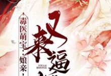 小说《毒医萌宝：娘亲，父皇又来逼婚了》在线章节阅读-瑞奇文学