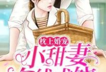 小说《枕上婚宠：小甜妻在线求饶》章节阅读-瑞奇文学