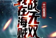 完结版《十二生肖符：我在海贼战无双》章节目录在线阅读-瑞奇文学