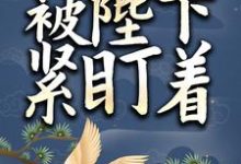 小太监她被陛下紧盯着小说最新更新在哪里？免费在线看-瑞奇文学