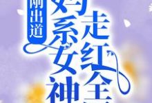 在线寻找刚出道：妈系女神走红全网小说的无删减版本-瑞奇文学