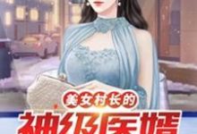 美女村长的神级医婿这本小说怎么样？免费在线阅读试试-瑞奇文学