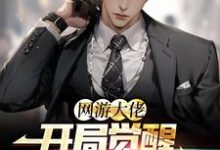 完结版《网游大佬：开局觉醒红温系统》章节阅读-瑞奇文学