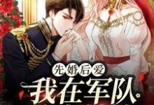 完结版《先婚后爱：我在军队养崽带娃》在线免费阅读-瑞奇文学