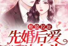 完结版《极致拉扯：先婚后爱暧昧上头》章节目录在线阅读-瑞奇文学