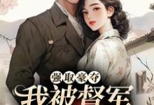 完结版《强取豪夺：我被督军强娶为妻》章节阅读-瑞奇文学