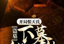 盗墓：开局恨天氏，下墓就无敌小说阅读，盗墓：开局恨天氏，下墓就无敌完结版-瑞奇文学