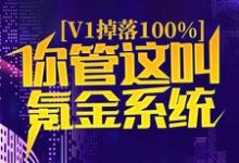 v1掉落100%，你管这叫氪金系统？小说，v1掉落100%，你管这叫氪金系统？免费阅读-瑞奇文学