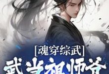 魂穿综武：武当祖师爷出山了小说全文哪里可以免费看？-瑞奇文学