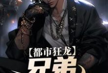 小说《都市狂龙：兄弟，哥罩着你！》在线章节阅读-瑞奇文学