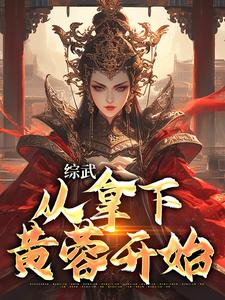 小说《综武：从拿下黄蓉开始》在线章节阅读