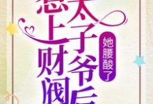 小说《惹上财阀太子爷后，她腰酸了》章节阅读-瑞奇文学