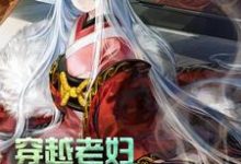 满星卫承宽卫承启方荷是哪本书的主角？寻找穿越老妇：我累了，求躺平！免费阅读-瑞奇文学