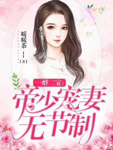 求一婚二宝：帝少宠妻无节制小说免费资源