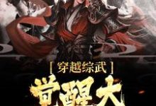 完结版《穿越综武，觉醒大反派系统》章节目录在线阅读-瑞奇文学