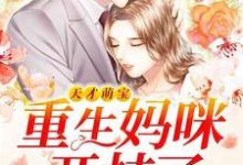 求天才萌宝：重生妈咪开挂了小说的全文免费阅读链接-瑞奇文学