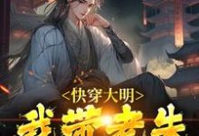 陆白棋大明小说《快穿大明：我带老朱南征北战》在线阅读-瑞奇文学