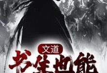 李长安安南栀为主角的小说好看吗？求文道：书生也能破万军免费试读-瑞奇文学