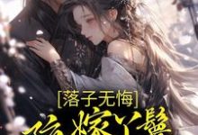 小说《落子无悔，陪嫁丫鬟一心逃离》章节免费阅读-瑞奇文学