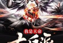 完结版《我是天命大反派》章节阅读-瑞奇文学