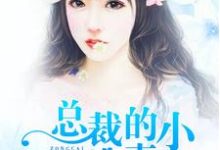 冷浩轩秦梦雅小说《总裁的小逃妻》在线阅读-瑞奇文学