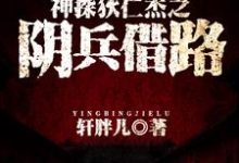 完结版《神探狄仁杰之阴兵借路》免费阅读-瑞奇文学