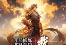 完结版《开局修炼北冥神功：我独步于武林》章节目录在线阅读-瑞奇文学