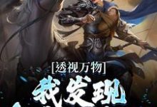 透视万物：我发现皇帝的密码小说完结了吗？在哪里可以免费读到？-瑞奇文学
