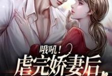 哦吼！虐完娇妻后，总裁火葬场了这本小说在哪里可以看？哪里有免费试读章节？-瑞奇文学