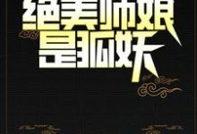 《阴阳先生：绝美师娘是狐妖》小说主角陈九胡眉章节章节免费在线阅读-瑞奇文学