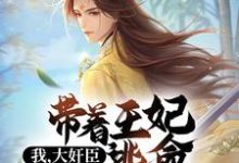 完结版《我，大奸臣，带着王妃逃命很合理啊》免费阅读-瑞奇文学