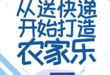 完整版的奶爸：从送快递开始打造农家乐小说在哪里可以免费读到？-瑞奇文学