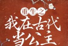 重生之我在古代当公主主角宁宣宜修小说完结版章节在线阅读-瑞奇文学