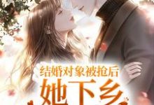 完结版《结婚对象被抢后，她下乡闪婚双胎了》在线免费阅读-瑞奇文学