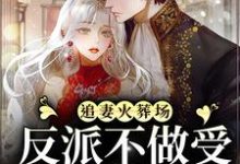 小说《追妻火葬场：反派不做受气媳妇啦》在线章节阅读-瑞奇文学