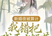 已完结小说《新婚夜被算计，我错把残王当解药》最新章节-瑞奇文学