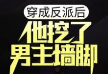 在线寻找穿成反派后，他挖了男主墙脚小说的无删减版本-瑞奇文学