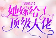 小说《离婚后，她嫁给了顶级大佬》章节免费阅读-瑞奇文学