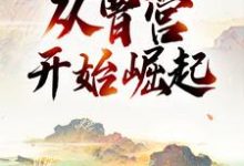 三国：从曹营开始崛起小说阅读，三国：从曹营开始崛起完结版-瑞奇文学