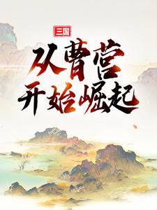 三国：从曹营开始崛起小说阅读，三国：从曹营开始崛起完结版