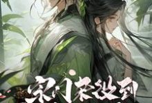 双修无敌：从宗门杂役到盖世帝尊小说，双修无敌：从宗门杂役到盖世帝尊在线阅读-瑞奇文学