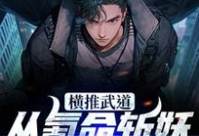 《横推武道：从氪命斩妖开始无敌》小说大结局免费试读 林念小说-瑞奇文学