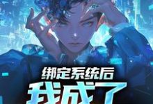 完结版《绑定系统厚，我成了黑客大佬》章节阅读-瑞奇文学